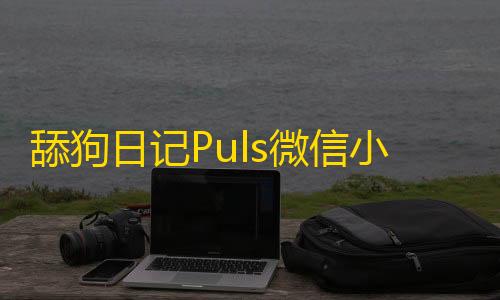 免实名防dns劫持舔狗日记Puls微信小程序源码带流量主功能